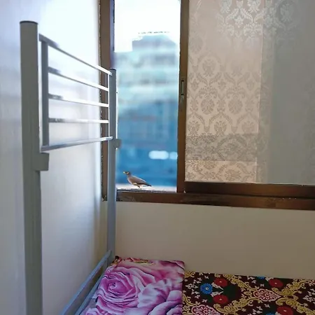 Single Room Near 